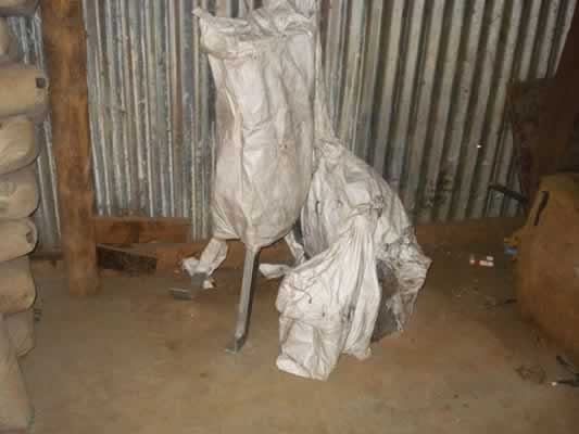Pump For Madoro Image